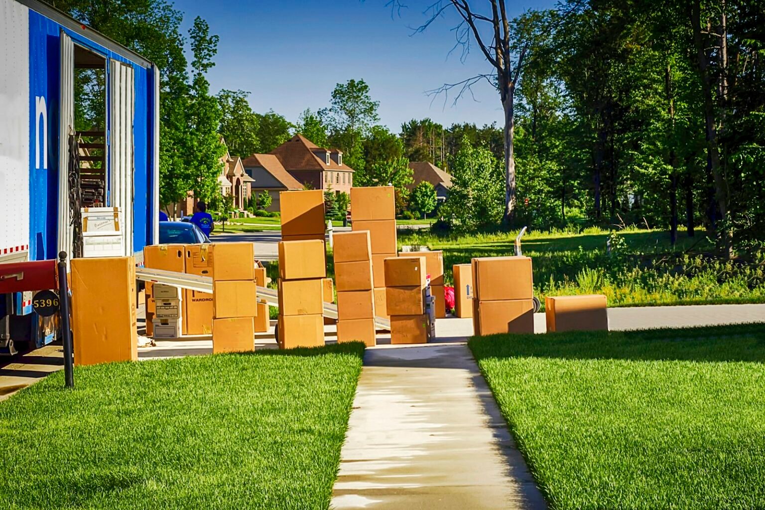 Moving boxes garden